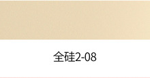 100% Full Silicone Leather color swatch