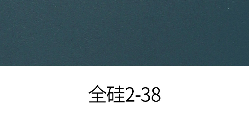 100% Full Silicone Leather color swatch